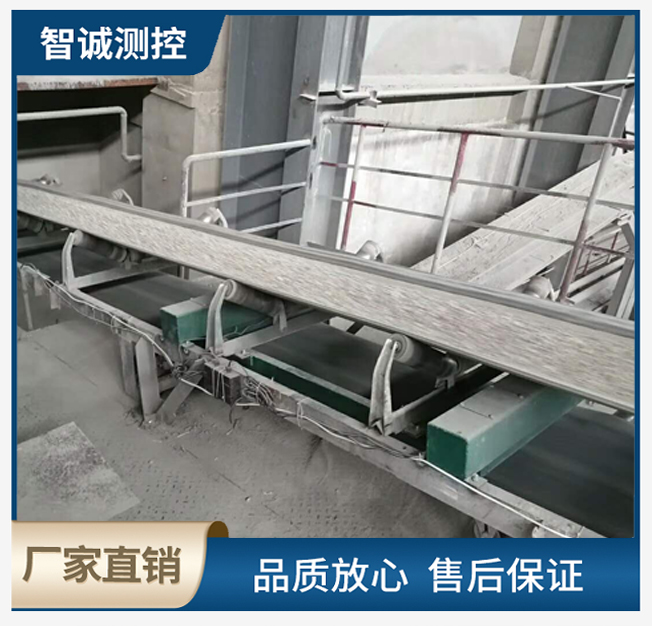 计量皮带秤