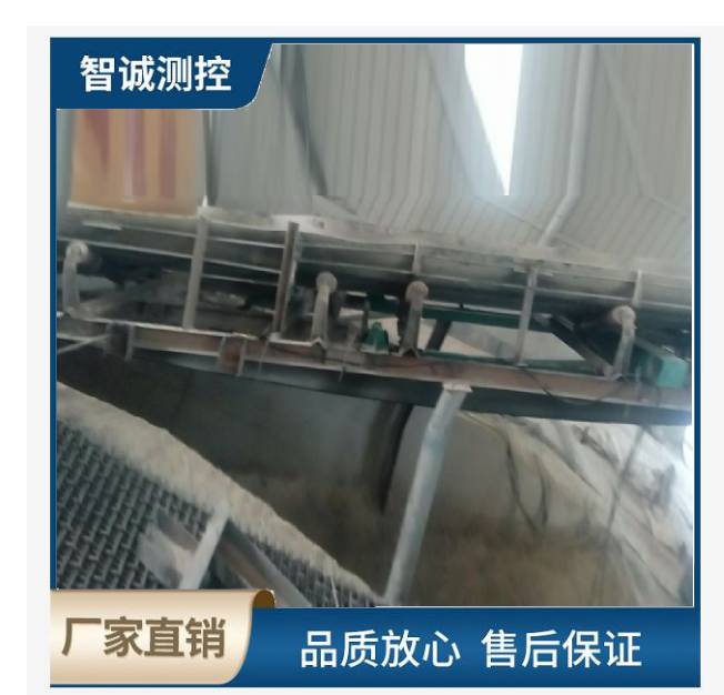 高精度皮带秤