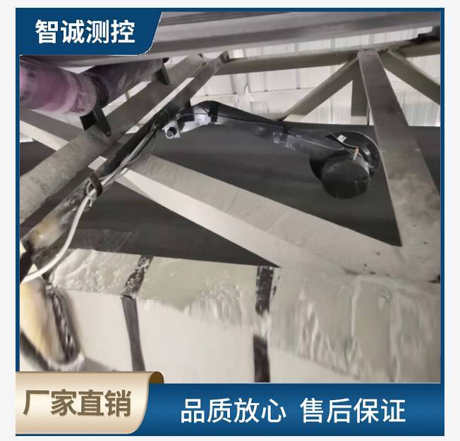 装车皮带秤