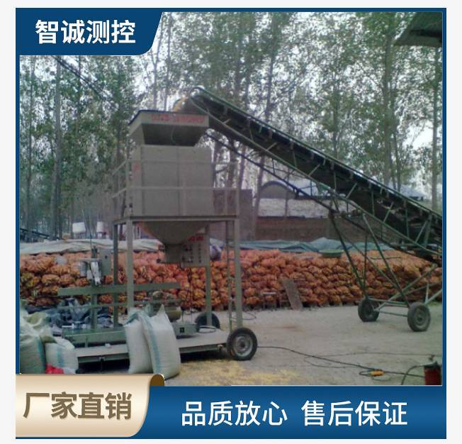 双斗颗粒包装秤