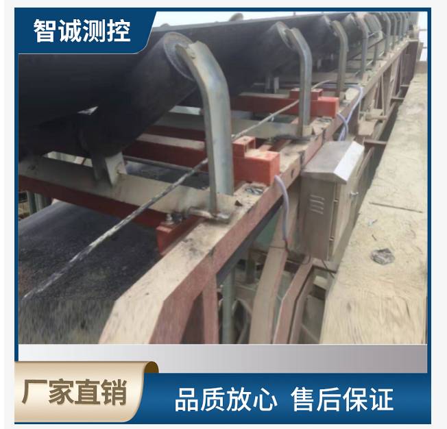 皮带输送计量秤