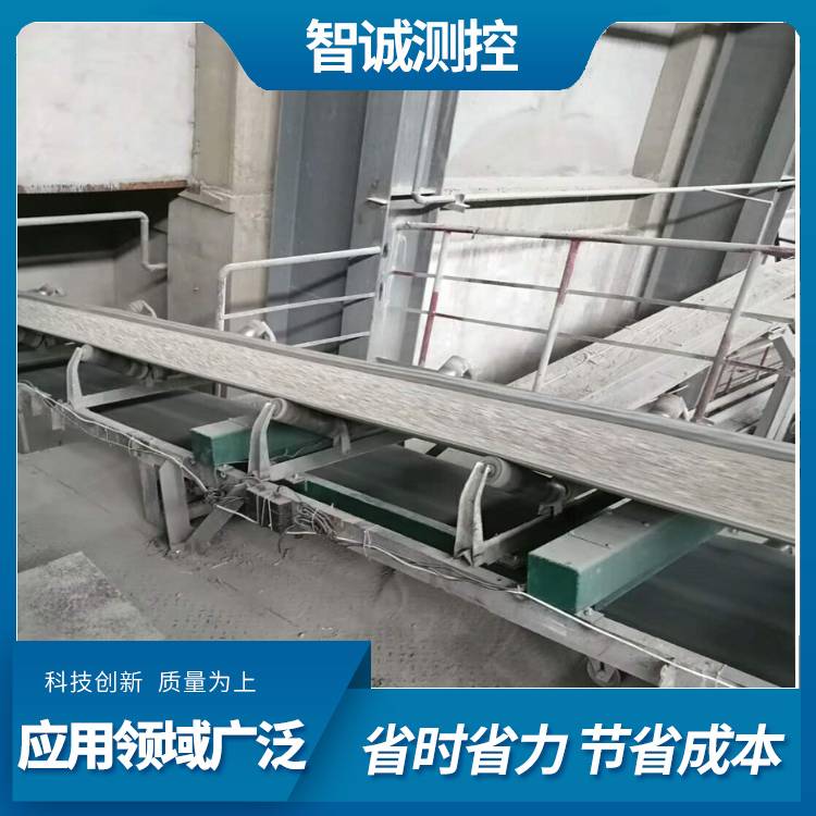 输送带称重器