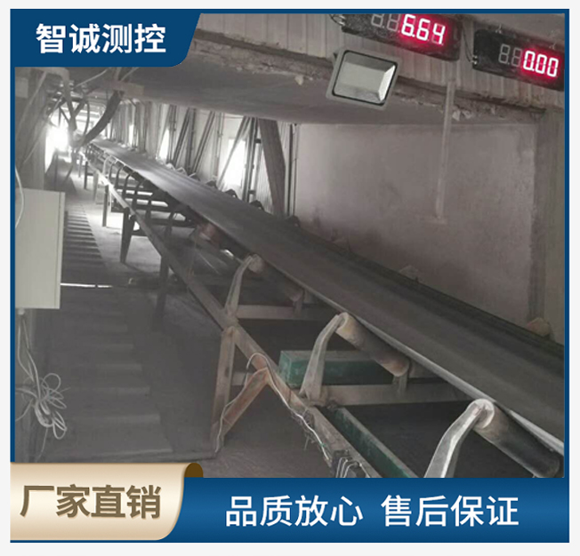 托辊电子计量秤