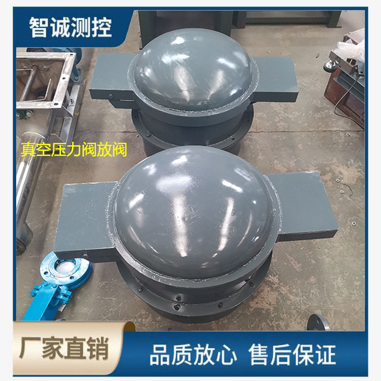 真空压力释放阀