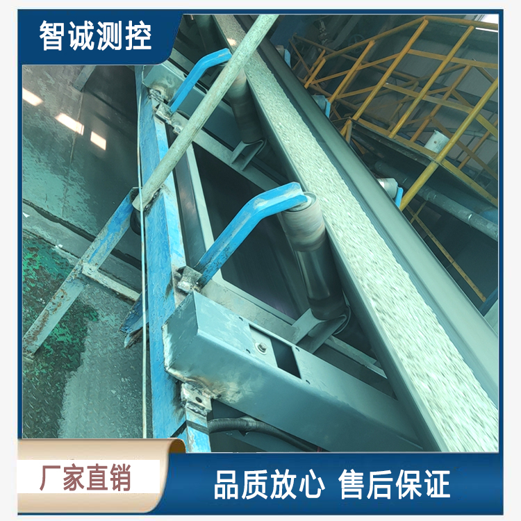 计量皮带称