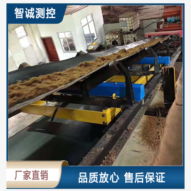高精度皮带称