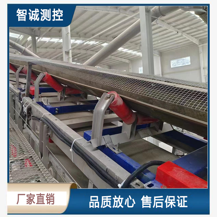 双托辊皮带称